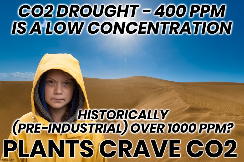 CO2 DROUGHT HURTS PLANTS | CO2 DROUGHT - 400 PPM
IS A LOW CONCENTRATION; HISTORICALLY (PRE-INDUSTRIAL) OVER 1000 PPM? PLANTS CRAVE CO2 | image tagged in greta thunberg,greta,climate change,climate,fear,propaganda | made w/ Imgflip meme maker