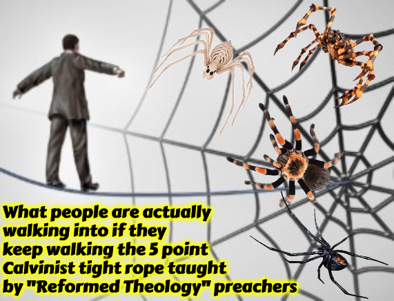 Reformed Web Of Lies | What people are actually walking into if they keep walking the 5 point Calvinist tight rope taught by "Reformed Theology" preachers | image tagged in calvinism,arminian,molinism,4 and 5 point reformed theology,ghoulish pharisees,subtle heretics | made w/ Imgflip meme maker