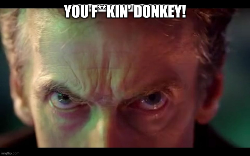 PETER CAPALDI!! | YOU F**KIN' DONKEY! | image tagged in peter capaldi | made w/ Imgflip meme maker