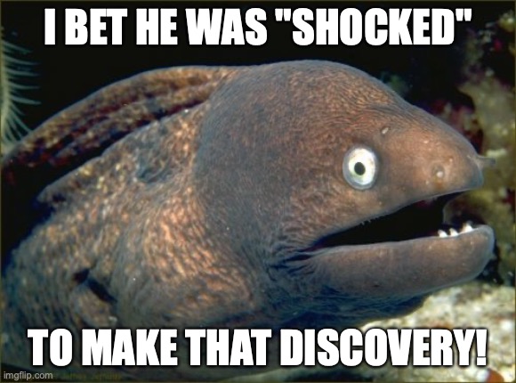 Bad Joke Eel Meme | I BET HE WAS "SHOCKED" TO MAKE THAT DISCOVERY! | image tagged in memes,bad joke eel | made w/ Imgflip meme maker