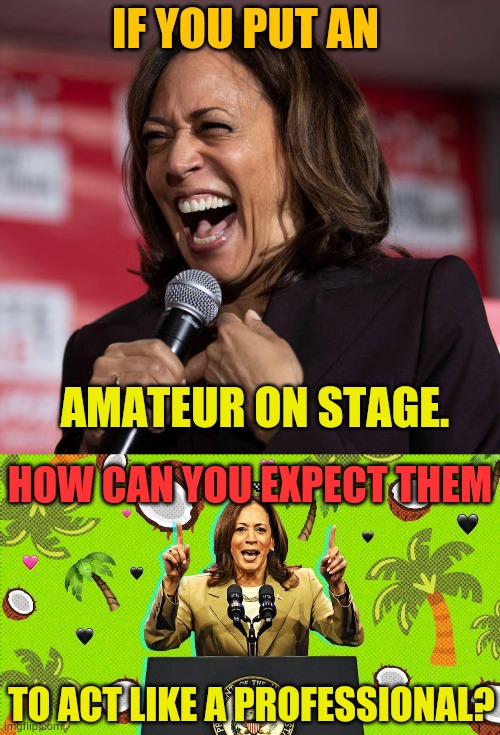 It's A Good Question | IF YOU PUT AN; AMATEUR ON STAGE. HOW CAN YOU EXPECT THEM; TO ACT LIKE A PROFESSIONAL? | image tagged in kamala harris,amateurs,stage,professional,memes,politics | made w/ Imgflip meme maker