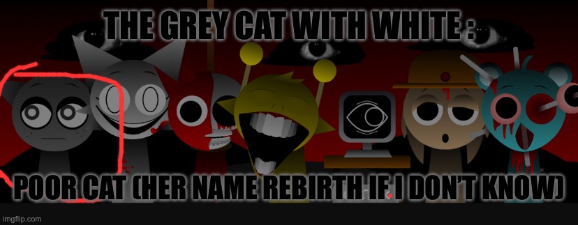 Bruh | THE GREY CAT WITH WHITE :; POOR CAT (HER NAME REBIRTH IF I DON’T KNOW) | image tagged in me | made w/ Imgflip meme maker