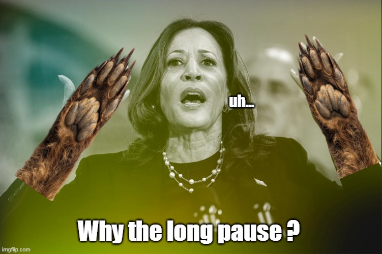 uh... Why the long pause ? | made w/ Imgflip meme maker