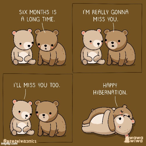 image tagged in bears,hug,hibernation,aww | made w/ Imgflip meme maker