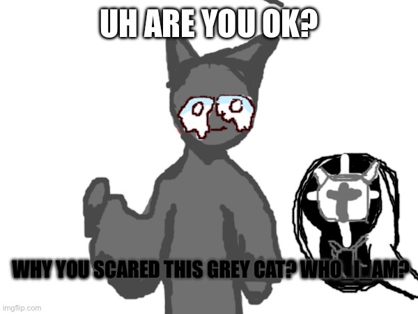 Why why | UH ARE YOU OK? WHY YOU SCARED THIS GREY CAT? WHO_I_AM? | image tagged in bring | made w/ Imgflip meme maker