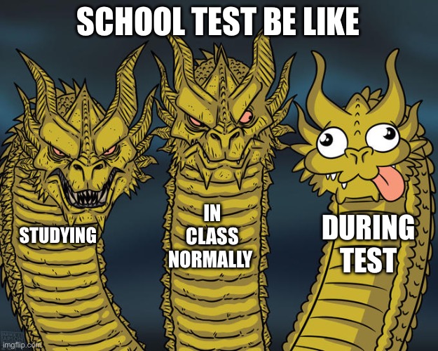 Three-headed Dragon | SCHOOL TEST BE LIKE; IN CLASS NORMALLY; DURING TEST; STUDYING | image tagged in three-headed dragon | made w/ Imgflip meme maker