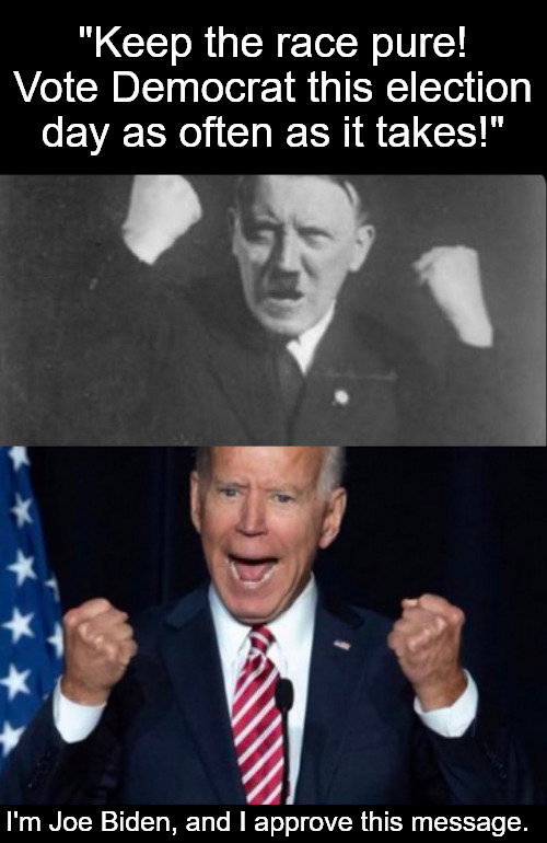 Keeping it pure the old fashion way. | "Keep the race pure!
Vote Democrat this election day as often as it takes!"; I'm Joe Biden, and I approve this message. | image tagged in memes,politics,hitler,biden,election 2024,trump | made w/ Imgflip meme maker