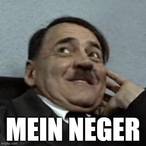 MEIN NEGER | image tagged in hitler,adolf hitler,hitler downfall,downfall | made w/ Imgflip meme maker