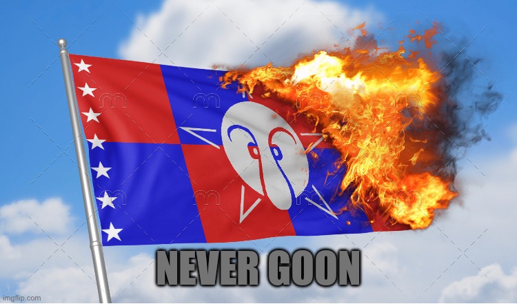 Burning the pro goon flag | NEVER GOON | image tagged in never goon | made w/ Imgflip meme maker