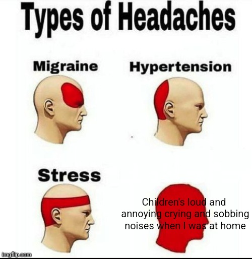 THEIR CRYING AND SOBBING WERE ANNOYING AS F- | Children's loud and 
annoying crying and sobbing noises when I was at home | image tagged in types of headaches meme | made w/ Imgflip meme maker