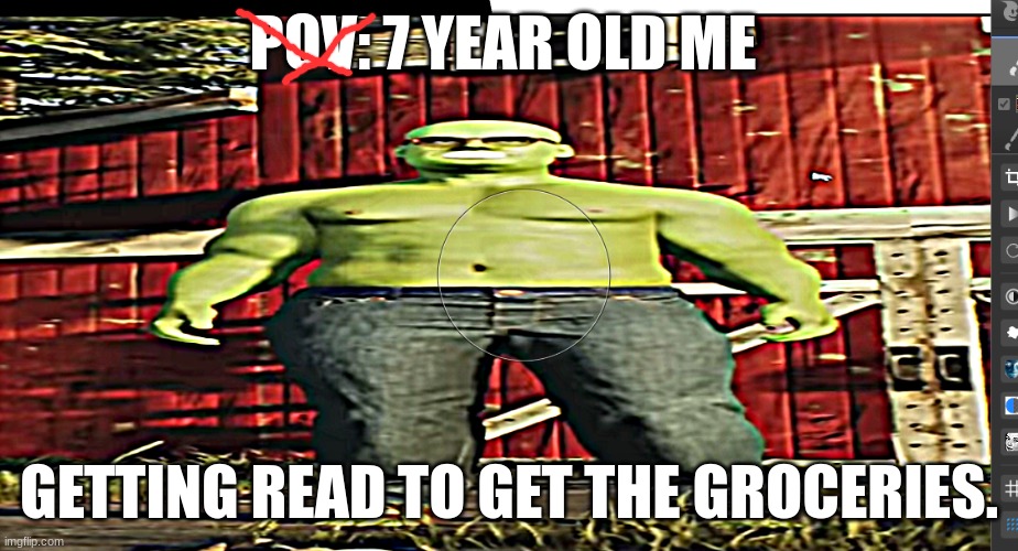 strong kid | POV: 7 YEAR OLD ME; GETTING READ TO GET THE GROCERIES. | image tagged in funny memes,relatable | made w/ Imgflip meme maker