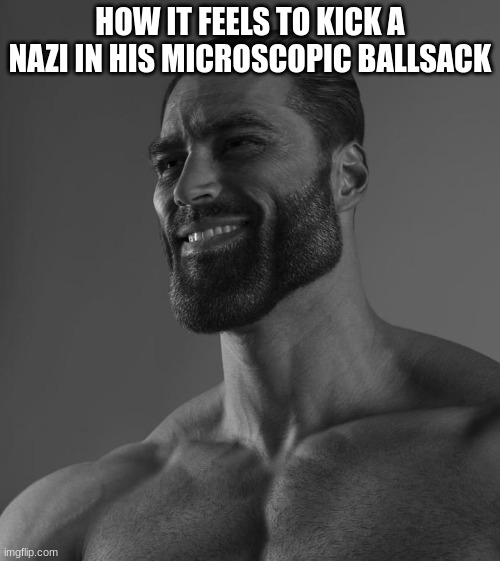 Sigma Male | HOW IT FEELS TO KICK A NAZI IN HIS MICROSCOPIC BALLSACK | image tagged in sigma male | made w/ Imgflip meme maker