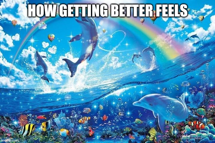 Happy dolphin rainbow | HOW GETTING BETTER FEELS | image tagged in happy dolphin rainbow | made w/ Imgflip meme maker