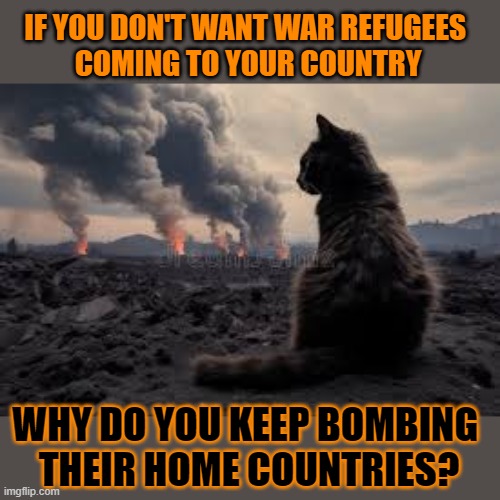 This #lolcat wonders why people who are against refugees support making them | IF YOU DON'T WANT WAR REFUGEES 
COMING TO YOUR COUNTRY; WHY DO YOU KEEP BOMBING 
THEIR HOME COUNTRIES? | image tagged in refugees,war,lolcat,racism | made w/ Imgflip meme maker