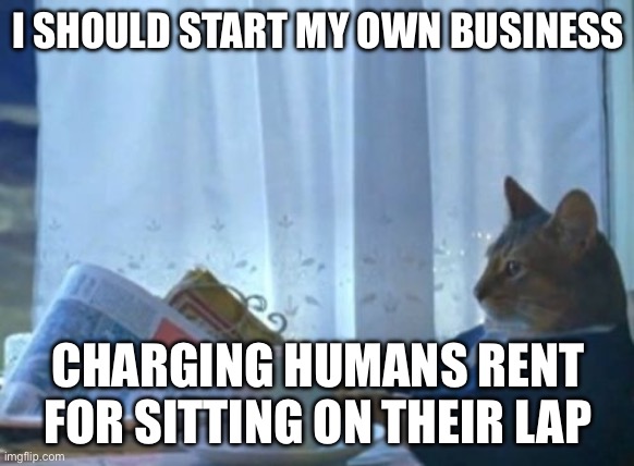 Rent | I SHOULD START MY OWN BUSINESS; CHARGING HUMANS RENT FOR SITTING ON THEIR LAP | image tagged in memes | made w/ Imgflip meme maker