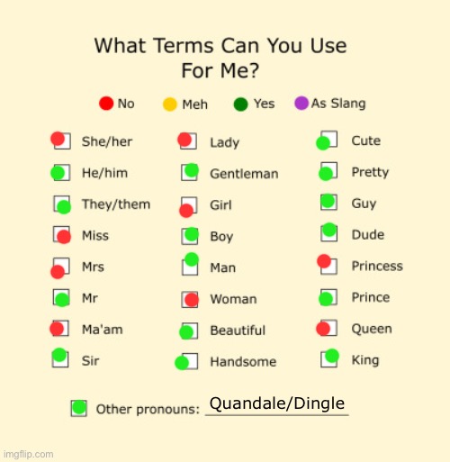 Pronouns Sheet | Quandale/Dingle | image tagged in pronouns sheet | made w/ Imgflip meme maker