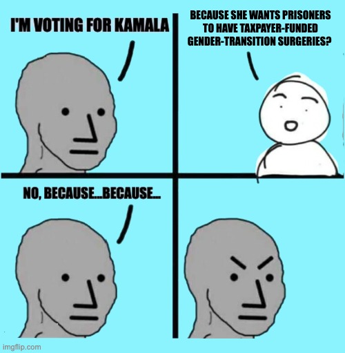 Wake Up, Americans | BECAUSE SHE WANTS PRISONERS TO HAVE TAXPAYER-FUNDED GENDER-TRANSITION SURGERIES? | image tagged in i'm voting for kamala | made w/ Imgflip meme maker