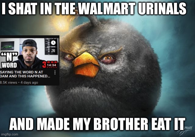 Funny | I SHAT IN THE WALMART URINALS; AND MADE MY BROTHER EAT IT | image tagged in angry birds bomb | made w/ Imgflip meme maker