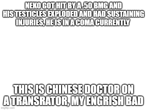 NEKO GOT HIT BY A .50 BMG AND HIS TESTICLES EXPLODED AND HAD SUSTAINING INJURIES, HE IS IN A COMA CURRENTLY; THIS IS CHINESE DOCTOR ON A TRANSRATOR, MY ENGRISH BAD | made w/ Imgflip meme maker