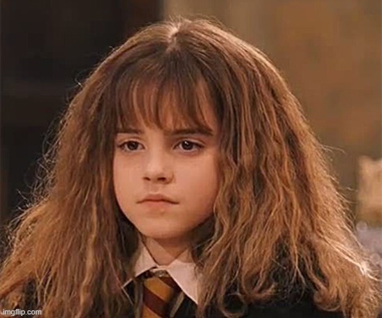 Dissapointed Hermione | image tagged in dissapointed hermione | made w/ Imgflip meme maker