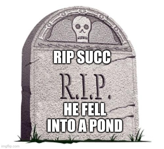 Rip ducc | RIP SUCC; HE FELL INTO A POND | image tagged in rip | made w/ Imgflip meme maker