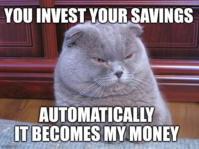 Smart One | YOU INVEST YOUR SAVINGS; AUTOMATICALLY
IT BECOMES MY MONEY | image tagged in banker cat | made w/ Imgflip meme maker