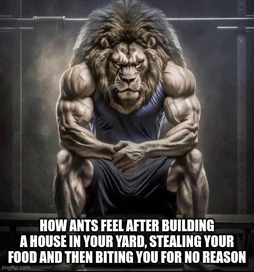 How bro felt after saying that | HOW ANTS FEEL AFTER BUILDING A HOUSE IN YOUR YARD, STEALING YOUR FOOD AND THEN BITING YOU FOR NO REASON | image tagged in how bro felt after saying that | made w/ Imgflip meme maker