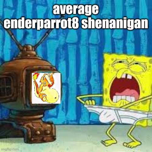 Spongebob beating his meat | average enderparrot8 shenanigan | image tagged in spongebob beating his meat | made w/ Imgflip meme maker