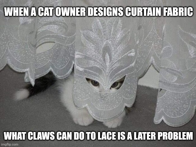 Funny cat | WHEN A CAT OWNER DESIGNS CURTAIN FABRIC; WHAT CLAWS CAN DO TO LACE IS A LATER PROBLEM | image tagged in funny cat | made w/ Imgflip meme maker