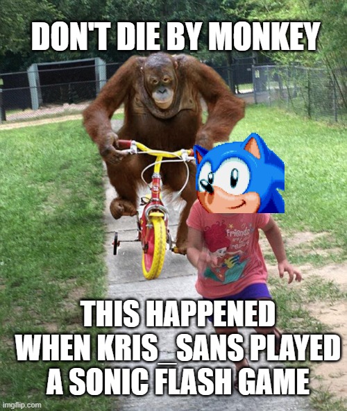 don't die by monkey | DON'T DIE BY MONKEY; THIS HAPPENED WHEN KRIS_SANS PLAYED A SONIC FLASH GAME | image tagged in orangutan chasing girl on a tricycle,sonic the hedgehog | made w/ Imgflip meme maker