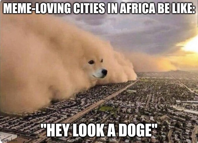 Hey Look A Doge | MEME-LOVING CITIES IN AFRICA BE LIKE:; "HEY LOOK A DOGE" | image tagged in doge cloud,doge,hey look,interesting,but why tho,africa | made w/ Imgflip meme maker