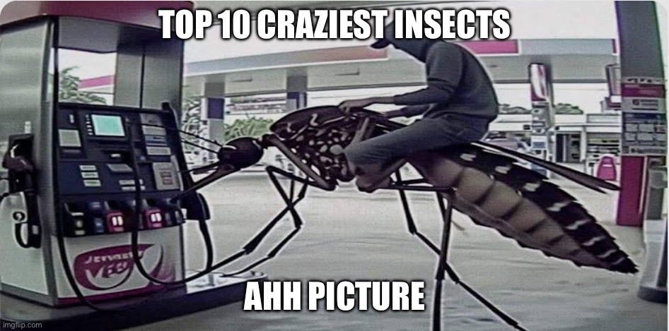 Clickbait ahh picture | TOP 10 CRAZIEST INSECTS; AHH PICTURE | image tagged in goofy memes | made w/ Imgflip meme maker