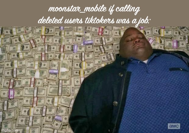 She's just gonna be rich af if calling them TikTokers was a job | moonstar_mobile if calling deleted users tiktokers was a job: | image tagged in huell money | made w/ Imgflip meme maker