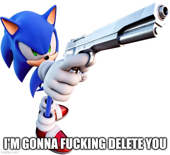 Sonic with a gun | I'M GONNA FUCKING DELETE YOU | image tagged in sonic with a gun | made w/ Imgflip meme maker