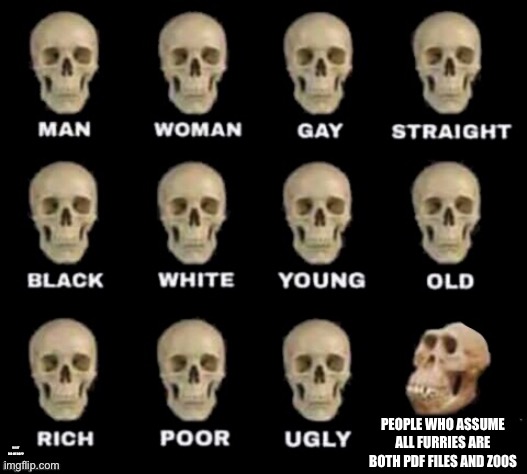 idiot skull | PEOPLE WHO ASSUME ALL FURRIES ARE BOTH PDF FILES AND Z00S; WHAT DID WE DO?? | image tagged in idiot skull | made w/ Imgflip meme maker