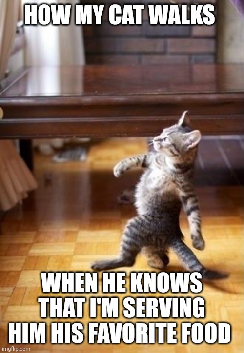 Favorite food | HOW MY CAT WALKS; WHEN HE KNOWS THAT I'M SERVING HIM HIS FAVORITE FOOD | image tagged in memes,cool cat stroll | made w/ Imgflip meme maker