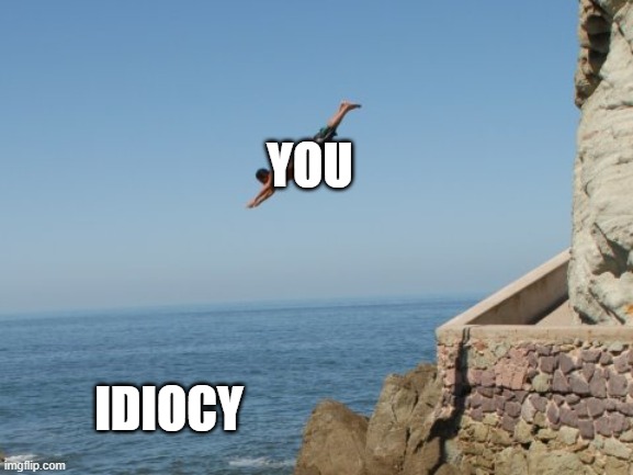 Cliff Diver | YOU; IDIOCY | image tagged in cliff diver | made w/ Imgflip meme maker