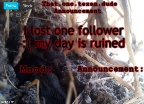 THE that.one.texan.dude announcement template | I lost one follower :( my day is ruined | image tagged in the that one texan dude announcement template | made w/ Imgflip meme maker