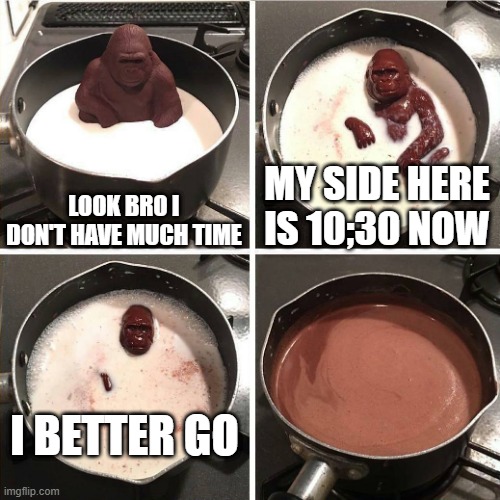 chocolate gorilla | LOOK BRO I DON'T HAVE MUCH TIME MY SIDE HERE IS 10;30 NOW I BETTER GO | image tagged in chocolate gorilla | made w/ Imgflip meme maker