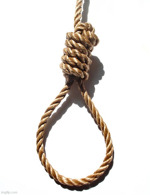 Hang rope | image tagged in hang rope | made w/ Imgflip meme maker