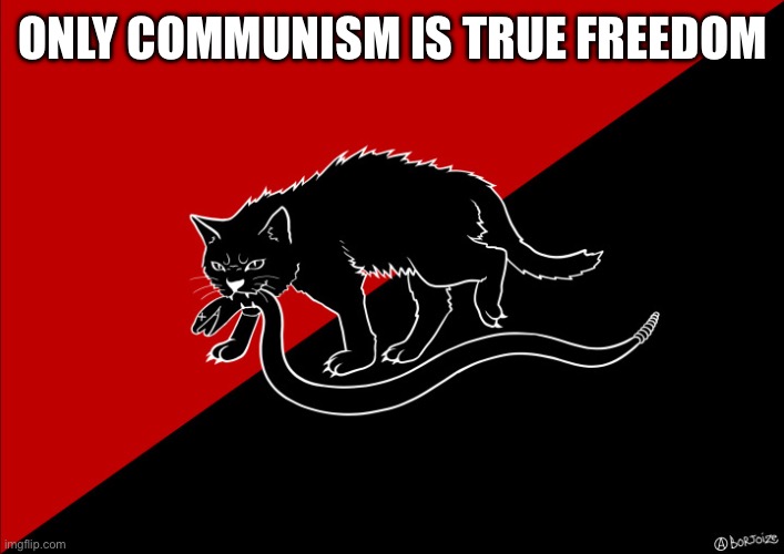 Only communism is true freedom | ONLY COMMUNISM IS TRUE FREEDOM | image tagged in sabo cat with snake,communism | made w/ Imgflip meme maker