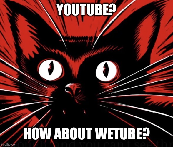 WeTube | YOUTUBE? HOW ABOUT WETUBE? | image tagged in sabo tabby cat,youtube,communist cat,communist,memes | made w/ Imgflip meme maker