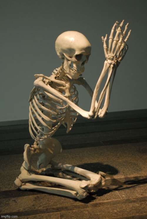 Praying Skeleton | image tagged in praying skeleton | made w/ Imgflip meme maker