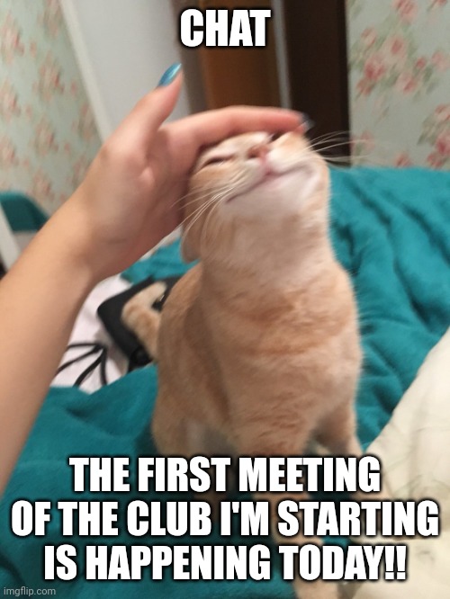 :3 | CHAT; THE FIRST MEETING OF THE CLUB I'M STARTING IS HAPPENING TODAY!! | image tagged in cat pat | made w/ Imgflip meme maker