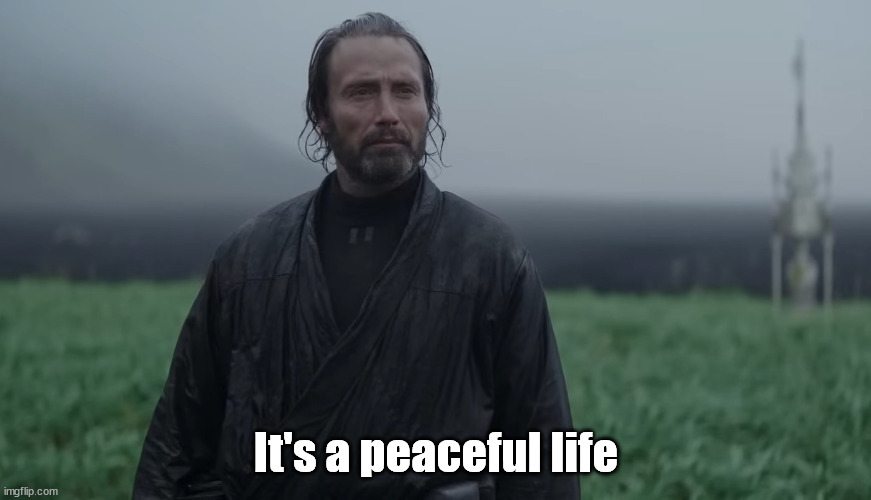 It's a peaceful life | It's a peaceful life | image tagged in star wars,rogue one,peace,peaceful | made w/ Imgflip meme maker