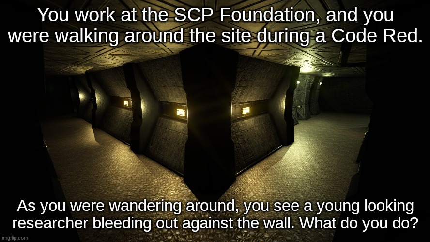 SCP RP. (again) SCP-939 breach, this time! Rules and other things in the comments. | You work at the SCP Foundation, and you were walking around the site during a Code Red. As you were wandering around, you see a young looking researcher bleeding out against the wall. What do you do? | made w/ Imgflip meme maker