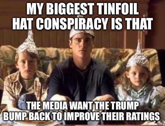 Trump Bumpcd | MY BIGGEST TINFOIL HAT CONSPIRACY IS THAT; THE MEDIA WANT THE TRUMP BUMP BACK TO IMPROVE THEIR RATINGS | image tagged in tinfoilhats,politics,democrats,media,donald trump | made w/ Imgflip meme maker