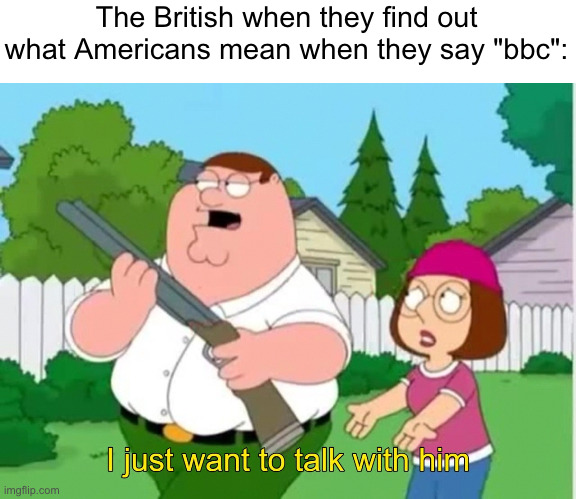 BBC | The British when they find out what Americans mean when they say "bbc": | image tagged in i just wanna talk to him,bbc,britain,british,england,america | made w/ Imgflip meme maker