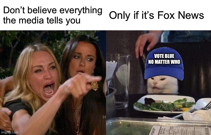Woman Yelling At Cat Meme | Don’t believe everything the media tells you Only if it’s Fox News VOTE BLUE NO MATTER WHO | image tagged in memes,woman yelling at cat | made w/ Imgflip meme maker