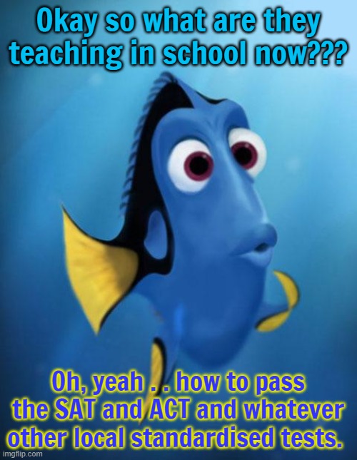 Dory | Okay so what are they teaching in school now??? Oh, yeah . . how to pass the SAT and ACT and whatever other local standardised tests. | image tagged in dory | made w/ Imgflip meme maker